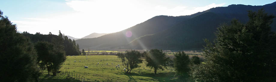 Rural Marlborough